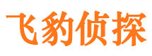 玛沁市侦探公司